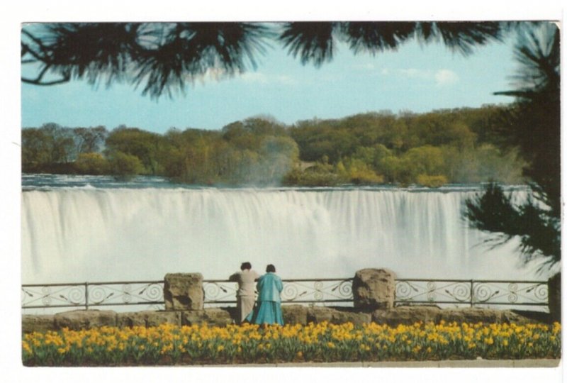 Horseshoe Falls From Victoria Park, Niagara Falls, Vintage Chrome Postcard