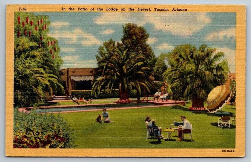 Vintage Arizona Postcard -  Lodge on the Desert     Tucson   1952