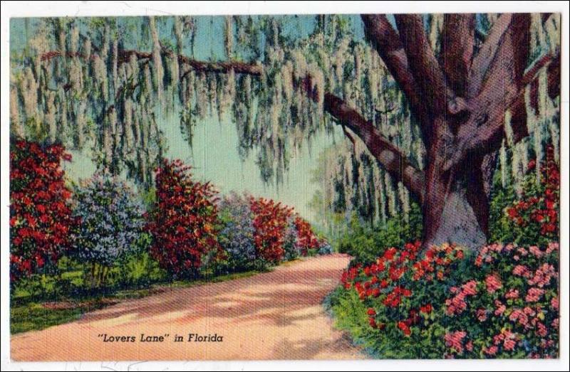 Lovers Lane in Florida