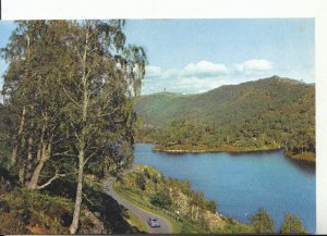 Scotland Postcard - Silver Birches by Loch Beneveian Inverness-shire Ref 17209A