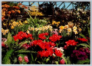 Bloedel Conservatory Queen Elizabeth Park Vancouver British Columbia Postcard #4