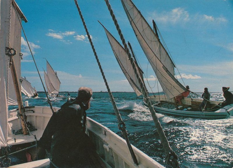 Wind in the Sales - Sailboat Race - Karlskrona, Sweden - pm 1985