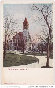 New York Albany The City Hall