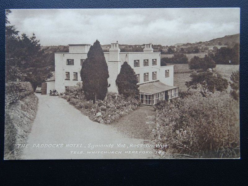 Herefordshire ROSS ON WYE Symonds Yat THE PADDOCKS HOTEL Old Postcard by Burrows
