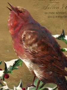 1880s Embossed Sellen Co. Christmas Card Holly Snow Robin ? Bird F21