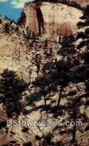 Big Trees, Rocks - Zion National Park, Utah UT  