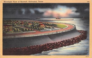 View Of Seawall Moonlight Scene - Galveston, Texas TX  