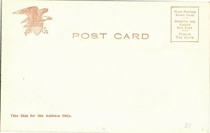 Congressional Library, Washington DC Undivided Back Vintage Postcard U37