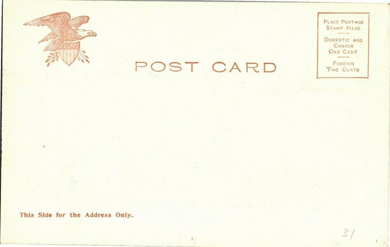 Congressional Library, Washington DC Undivided Back Vintage Postcard U37