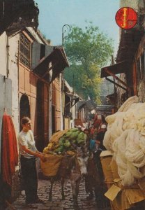Wool Dyers Market Morocco Postcard