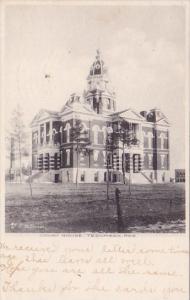 Court House Teccumsen Nebraska 1907