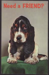 Need A Friend? Dog Postcard BIN