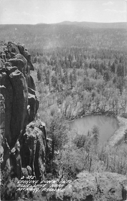 McNary Arizona Looking down Blue Lake 1940s RPPC Photo Postcard 21-13029