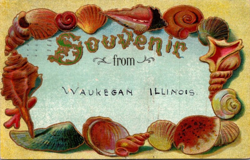 Illinois Souvenir From Waukegan With Shell Border 1910