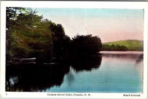 Postcard BOAT SCENE Canaan New Hampshire NH AM6267