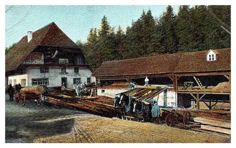 Germany  Lumber Cutting Mill , Saw Mill