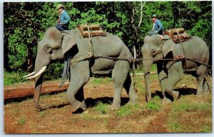 Postcard - Elephants preparing for a Parade in Thailand