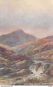 DARTMOOR, England, 1900-10s; Near Tavy Cleave; TUCK 7948