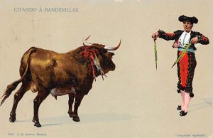 Citando A Banderillas Bull Fighing, Bullfighting 1912 