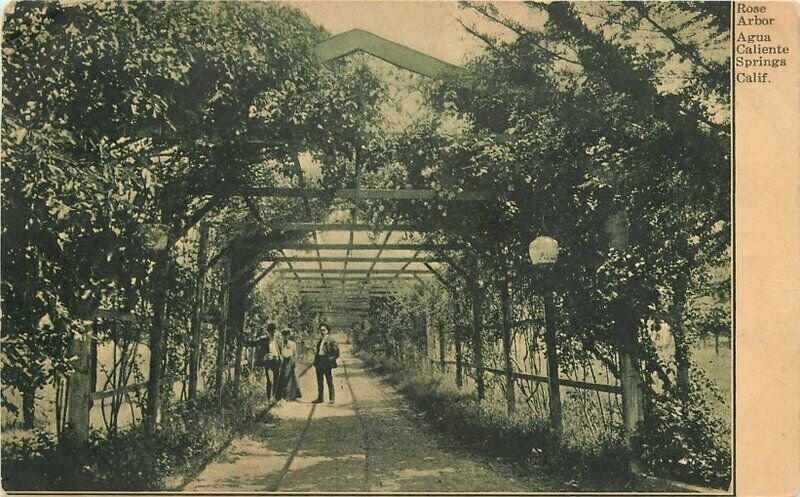 California Sonoma Rose Arbor Agua Caliente Springs Postcard 22-4210 