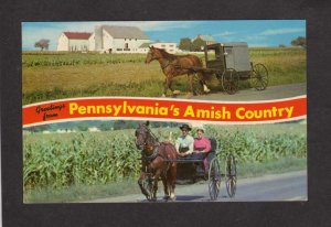 PA Greetings From Pennsylvania Amish Country Horse Buggy Carriage Dutch Postcard