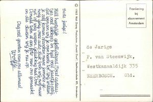 FANTASY Bear Pigs Cat Dressed as People Driving Car Old Postcard