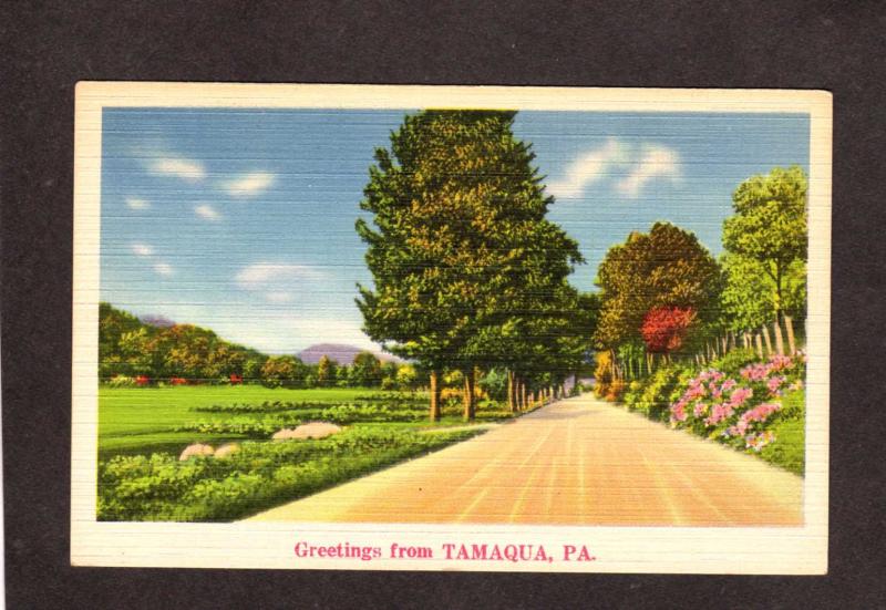 PA Greetings from TAMAQUA PENN Postcard Linen Pennsylvania