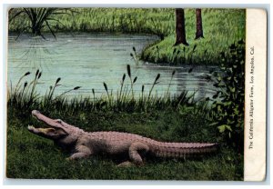 c1910 The California Alligator Farm Los Angeles California CA Postcard