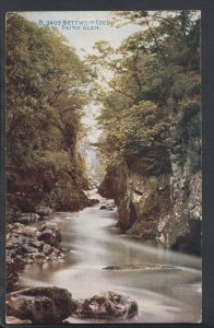 Wales Postcard - Bettws-Y-Coed - Fairy Glen    RS7414