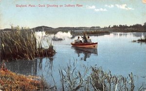 Duck Shooting on Sudbury River in Wayland, Massachusetts