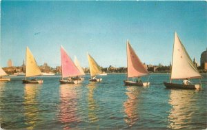 Boston Massachusetts Sailing Charles River 1950s Tichnor Postcard 21-11664