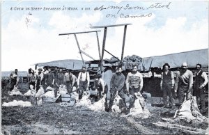 Sheep Shearers; Farmstead Camas Montana POSTCARD PM Fort Logan 1907 Sarten