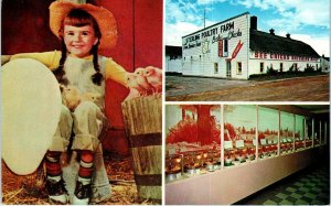 STANDISH, MI Michigan   CUTE GIRL at the CHICK MUSEUM  c1960s Roadside  Postcard