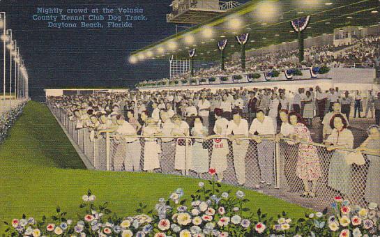 Nightly Crowd at Volusia County Kennel Club Dog Track Daytona Florida