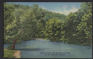 Missouri Spring Branch - Big Spring State Park - Beautiful Ozarks ~ Linen