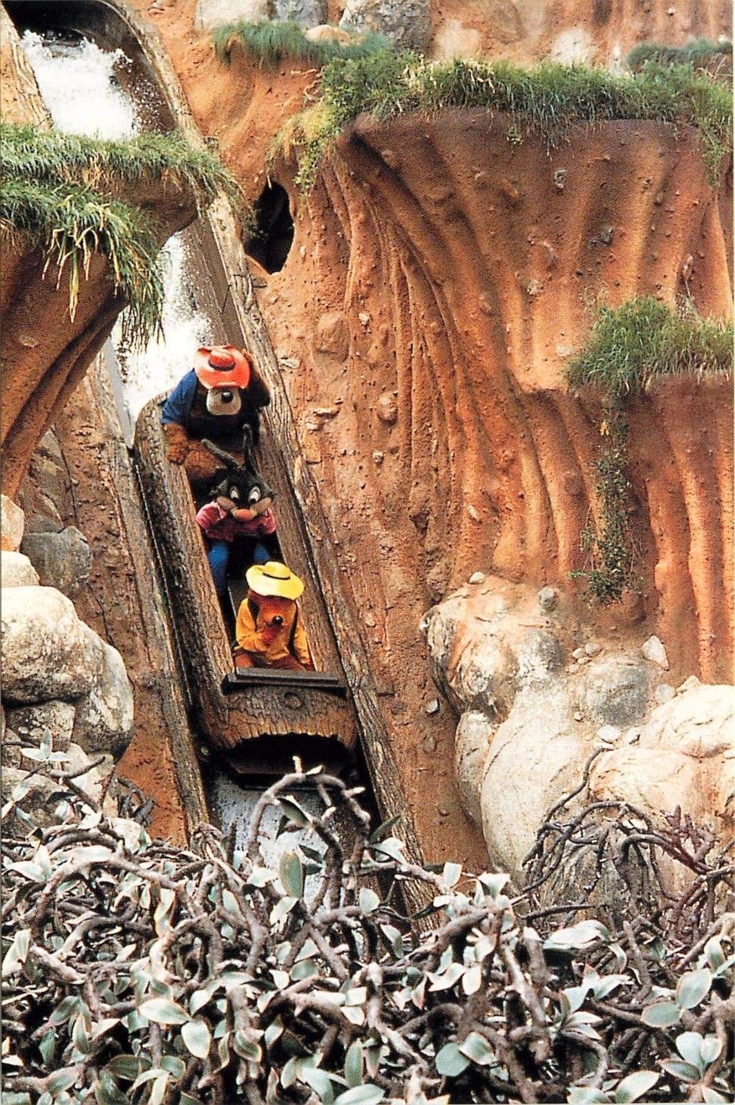 splash mountain disneyland log