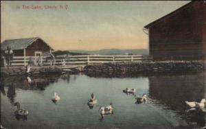 Liberty NY Duck Pond on Farm c1910 Postcard