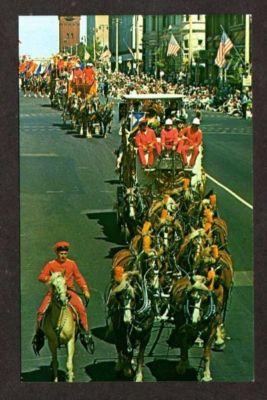 WI MILWAUKEE WISCONSIN Circus Parade Horses Postcard PC