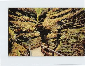 Postcard Moss Chamber In Cold Water Canyon, Wisconsin Dells, Wisconsin