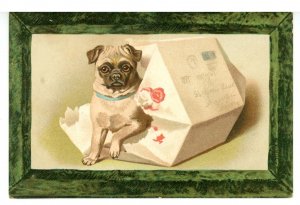 Greeting Card -  Christmas. Dog-gone Cute   (Not A Postcard)