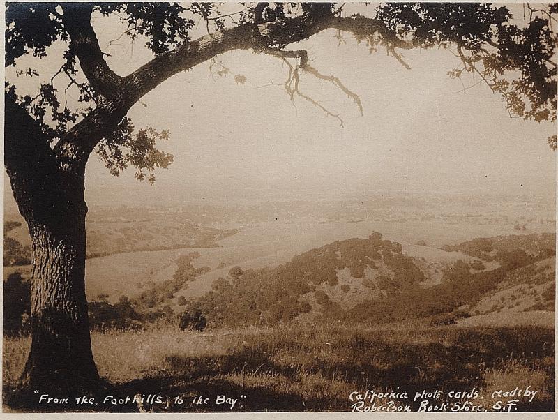 1917-30 San Francisco CA RPPC From Foothills to The Bay AZO Real Photo Postcard