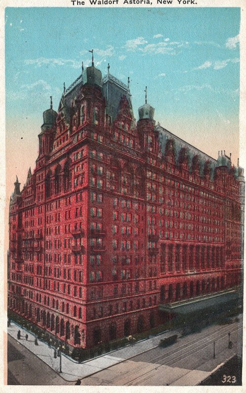 VINTAGE POSTCARD THE WALDORF ASTORIA HOTEL FIFTH AVE NEW YORK CITY VIEW c. 1925 