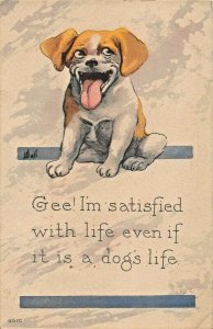 GEE! I'M SATISFIED WITH LIFE EVEN IF IT IS A DOG'S LIFE-UGLY DOG 1916 POSTCARD