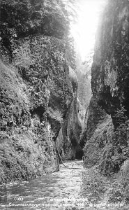 Oneonta Gorge Real Photo - Columbia River Highway, Oregon OR  