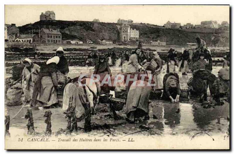 Old Postcard Cancale oysters Labor in oyster farming Parks TOP