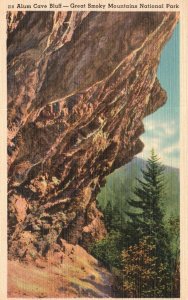 Vintage Postcard 1920's Alum Cave Bluff Great Smoky Mountains National Park