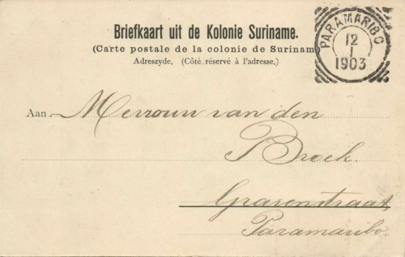 suriname, Native Mestizo Woman in Typical Dress Costumes (1903) Stamp