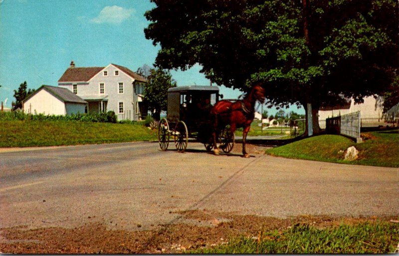 Pennsylvania Dutch Ciuntry Boxlike Amish Family Carriage