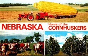 Nebraska Home Of The Cornhuskers Multi View