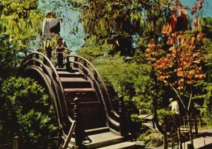 Vintage Postcard Oriental Tea Garden Golden Gate Park San Francisco California